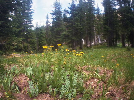 Lower Parika Lake